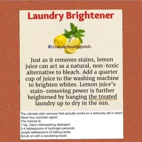 NOT FOR SALE! GUIDE to Stains - Picture 7 of 8